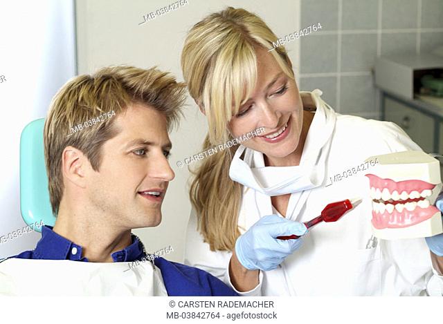 Dentist, smiling, Lehrmodell,  Denture, toothbrush, patient, explanation,  Tooth finery technology, portrait,  People, woman, 30-40 years, doctor, receptionist