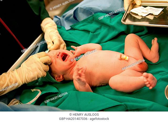 Baby - Just born - With cut umbilical cord - March, 2013