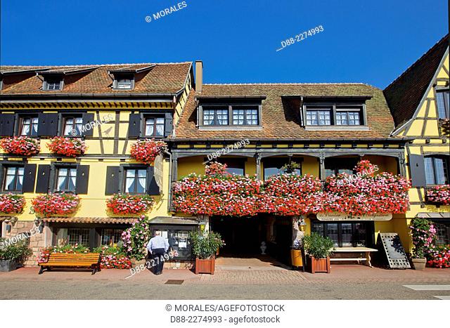 France, Alsace, Bas-Rhin (67), Wine Route, Itterswiller, facade of houses, hotel restaurant Arnold, windows with flowers