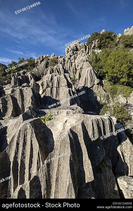 The geological sanctuary of karst, Bosc de Ses Monges, Lluc, Escorca, Mallorca, Balearic Islands, Spain