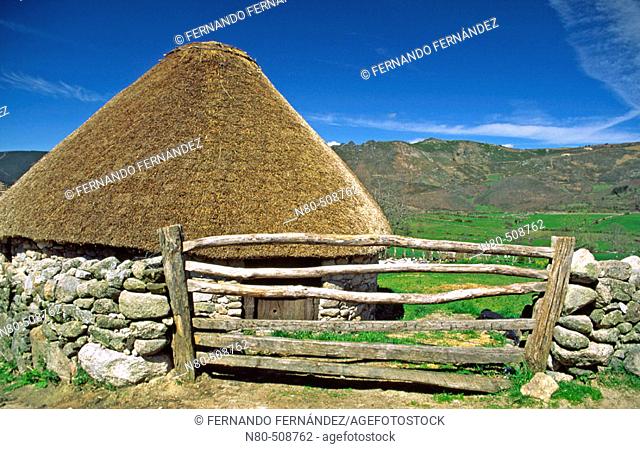 Palloza, typical house with vegetal roof, Pueblo de Piornedo, Los Ancares, Lugo province, Galicia. Spain