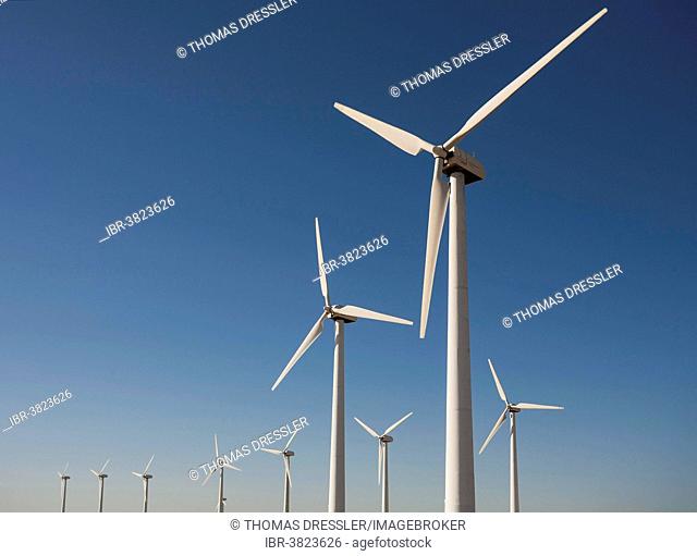 Windmills on a wind farm near Tarifa, Cádiz province, Andalucía, Spain