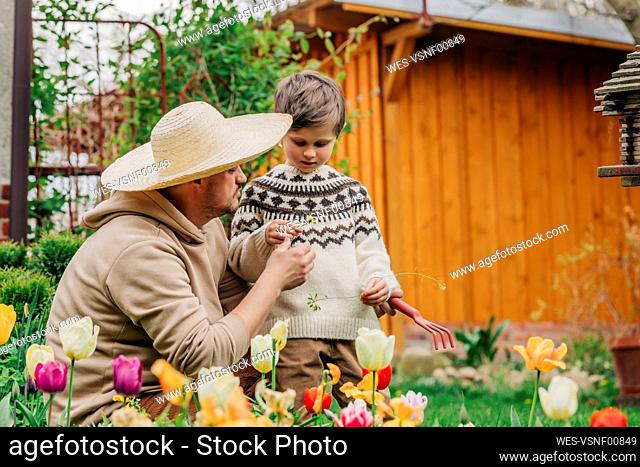 Father and son near tulips flowers in garden