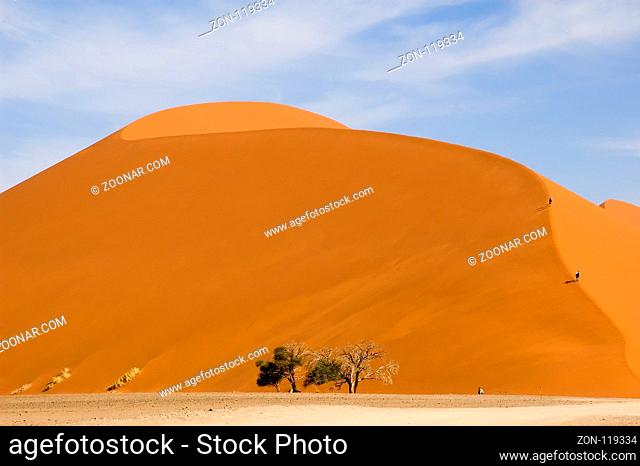 Hikers climb the dune 45 at the Sossusvlei in the namib desert