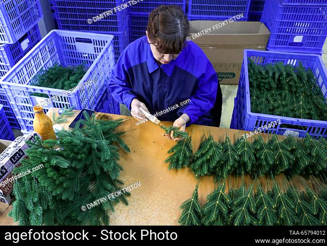 RUSSIA, NOVOROSSIYSK - DECEMBER 15, 2023: Making artificial Christmas trees at the Novaya Yolka [New Fir Tree] factory. Dmitry Feoktistov/TASS