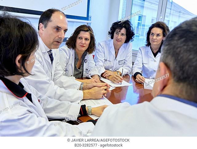 Hospital management meeting, Clinical session, Hospital Donostia, San Sebastian, Gipuzkoa, Basque Country, Spain