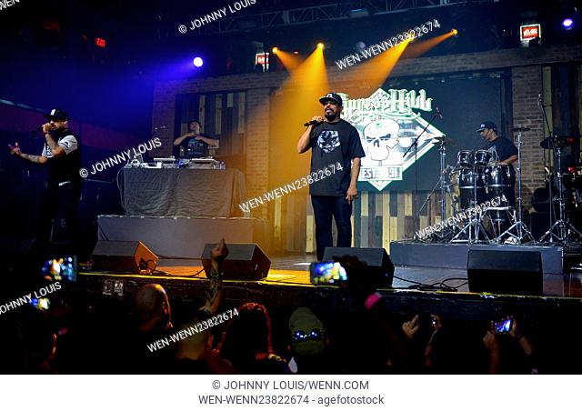 Cypress Hill performing on their 25th anniversary World tour at Revolution Live Featuring: B-Real, DJ Muggs, Sen Dog, Eric Bobo Where: Fort Lauderdale, Florida