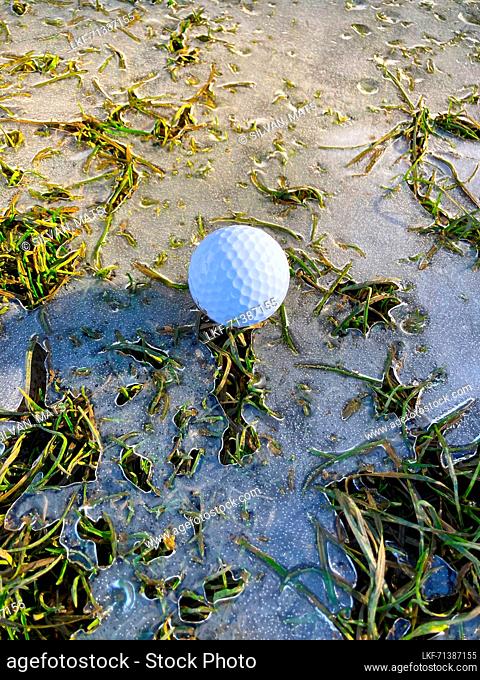 Golf Ball on Fairway Grass with Ice and Sunlight in Lugano, Ticino in Switzerland
