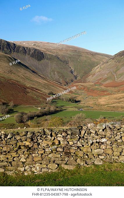 View of drystone wall and farmland in fell valley, with waterfall in distance, Cautley Crag and Yarlside with Cautley Spout inbetween, Sedbergh, Howgill Fells