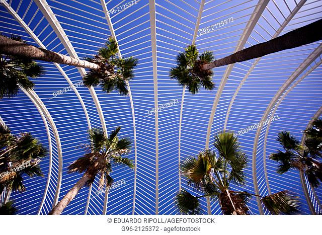 The umbracle at Ars & Science City at Valencia, by Santiago Calatrava