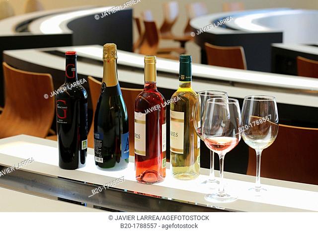 Wine Tasting Hall, Olarra winery, Rioja, Logroño, Spain