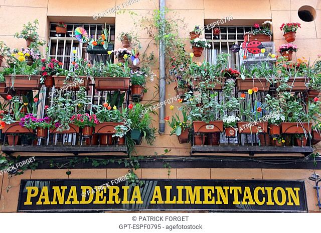 WINDOWS AND FLOWERING BALCONIES OVER A GROCERY SHOP, 'PANADERIA ALIMENTATION', MALASANA, MADRID, SPAIN