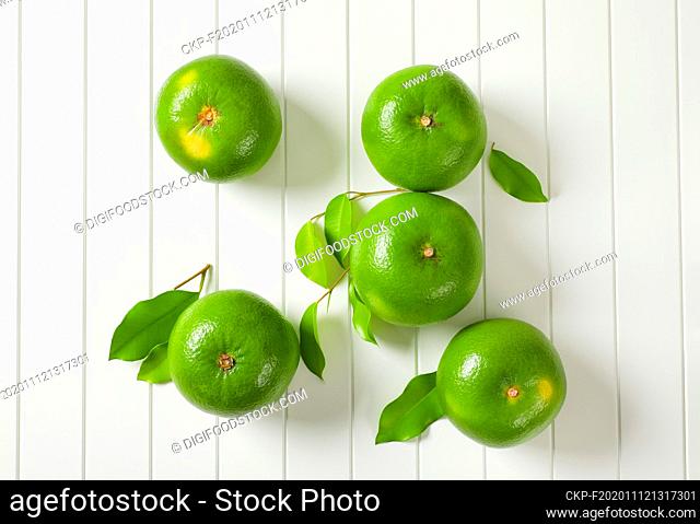 Five whole sweetie fruits (green grapefruits, pomelits) and leaves