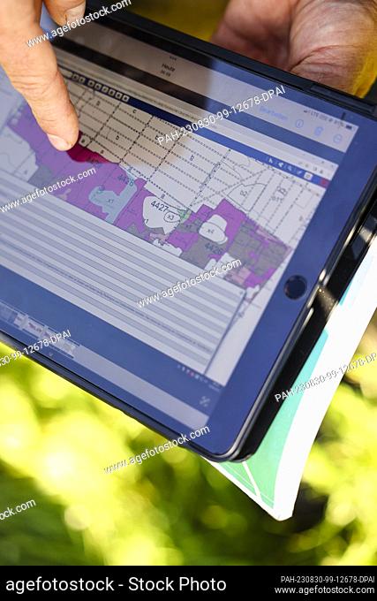 PRODUCTION - 28 August 2023, Schleswig-Holstein, Süderlügum: Udo Harriehausen (Schleswig-Holstein State Forests) uses a tablet to explain the classification of...