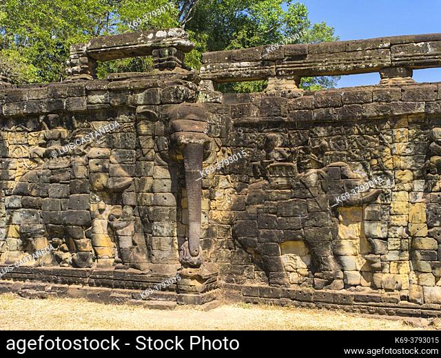 The Terrace of the Elephants is part of the walled city of Angkor Thom, a ruined temple complex in Cambodia. The terrace was used by Angkor's king Jayavarman...