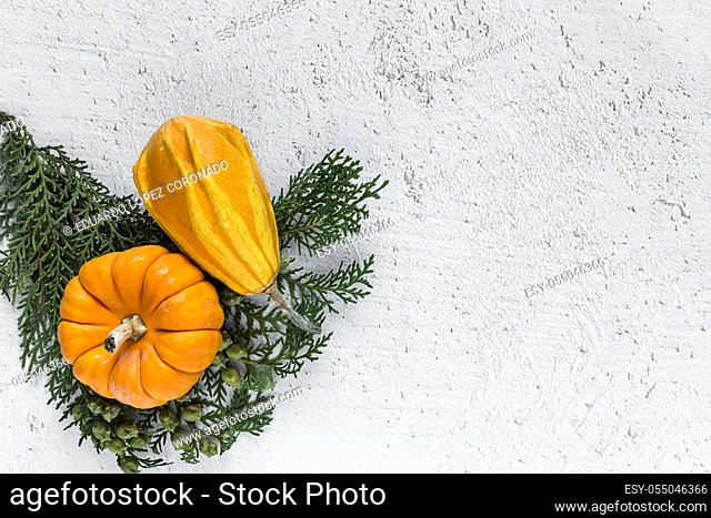 Halloween decoration background on white backghround. Pumpkins. Flat lay. Copyspace
