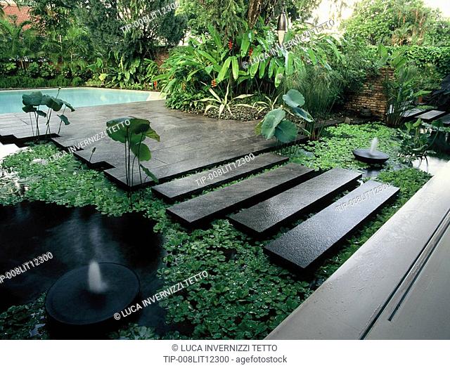 Water garden with papyrus, Mandai Gardens, Singapore