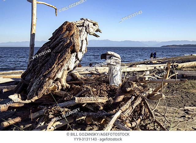 Osprey - Driftwood Art by Paul Lewis - Esquimalt Lagoon, Victoria, Vancouver Island, British Columbia, Canada