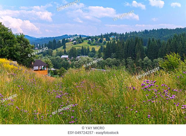 Mountain valley with rural houses, summer flowering fields and green coniferous forests under a blue cloudy sky. place of rest and tourism