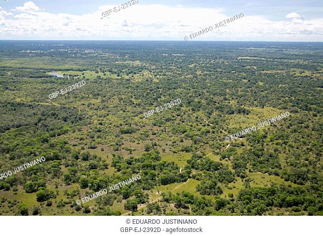 Fly over on the Pantanal Sulmatogrossense, Corumbá, Mato Grosso do Sul, Brazil