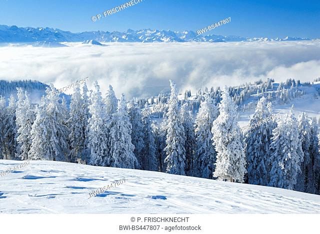 view from Rigi to the Alps in winter, Switzerland, Berner Alpen
