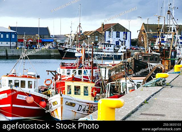Fishing boats docked at the pier, Howth Fishery Harbour. Howth, County Dublin, Ireland, Europe