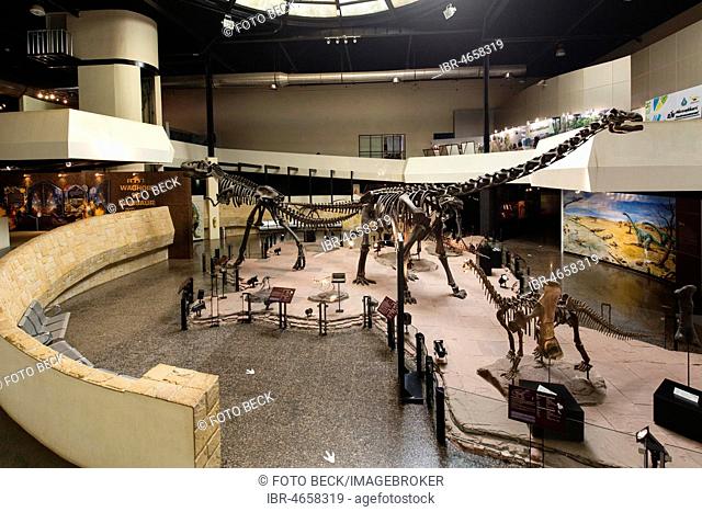 Eintrance hall with skeletons of dinosaurs, Sirindhorn Dinosaur Museum, Non Buri, Sahatsakhan district, Kalasin province, Isan, Thailand
