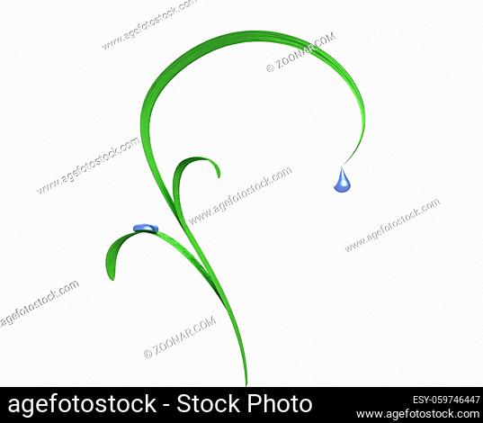 3d grass leafs with drops isolated