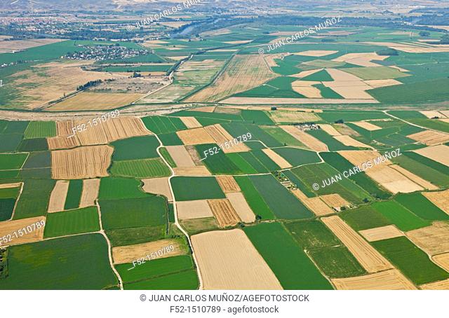 Agricultural landscape  Zaragoza Province, Aragon, Spain, Europe
