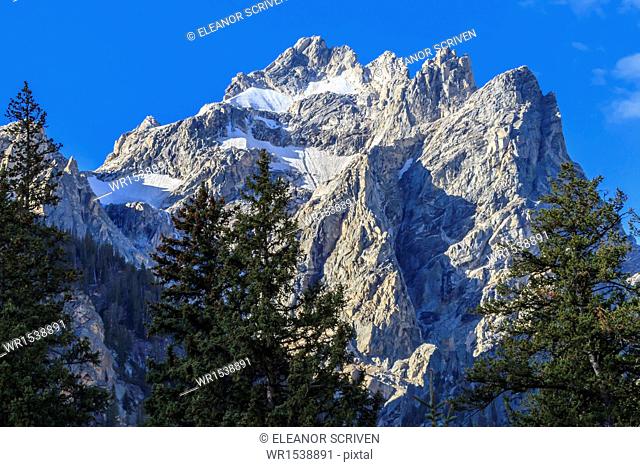 Mount Owen and pines from Cascade Canyon, Grand Teton National Park, Wyoming, United States of America, North America