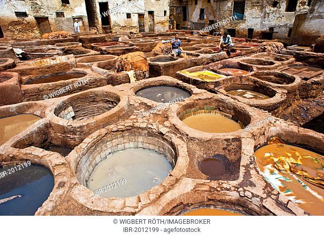 Dyeing pits in the traditional tannery in the historic town centre or Medina, UNESCO World Heritage Site, Fez, Morocco, Africa