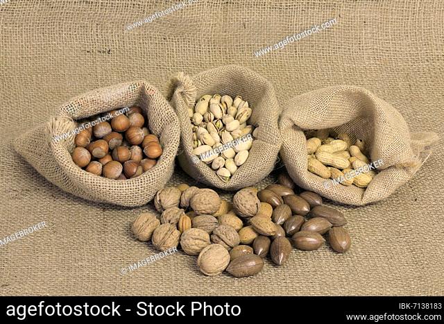 Nuts, mix, Almond tree (Prunus dulcis), Common hazel (Corylus avellana), Persian walnut (Juglans regia), Pecans (Carya illinoinensis)