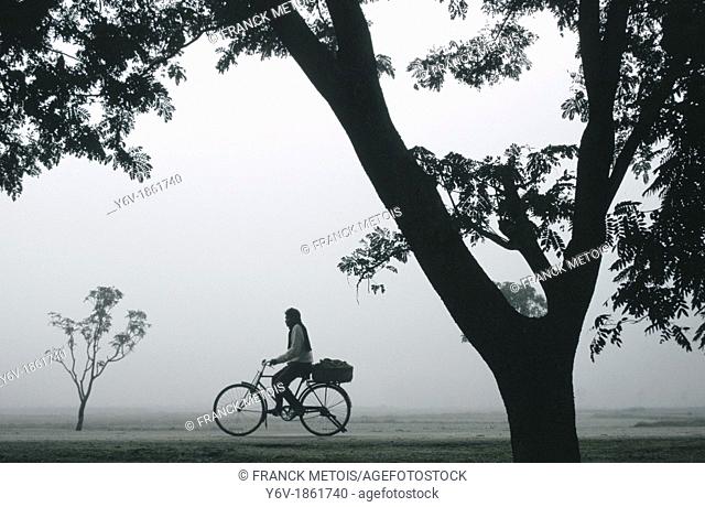 During a foggy morning, a man is riding a cycle. Teraï region, Nepal