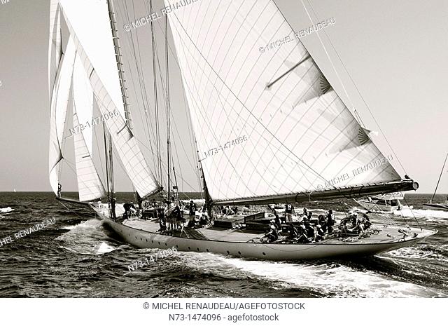 France, Var 83, Saint-Tropez, Les Voiles de Saint-Tropez meet every year in late September of beautiful classic yachts competing in regattas superb here gaff...
