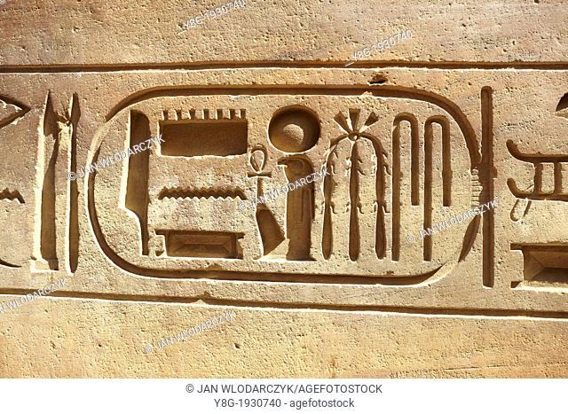 Luxor Temple of Amun, Egypt - cartouch on the wall of temple, Luxor, Upper Egypt