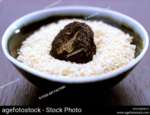 Black truffle on short-grain rice
