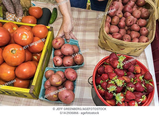 South Carolina, SC, North Myrtle Beach, Little River Farmers Market, fruit, vegetables, potatoes, strawberries, tomatoes