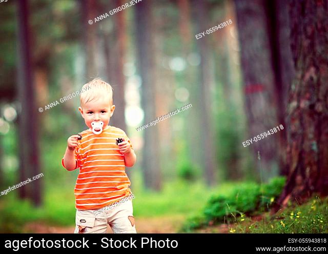 Happy little boy in the forest. Child in the park in summer