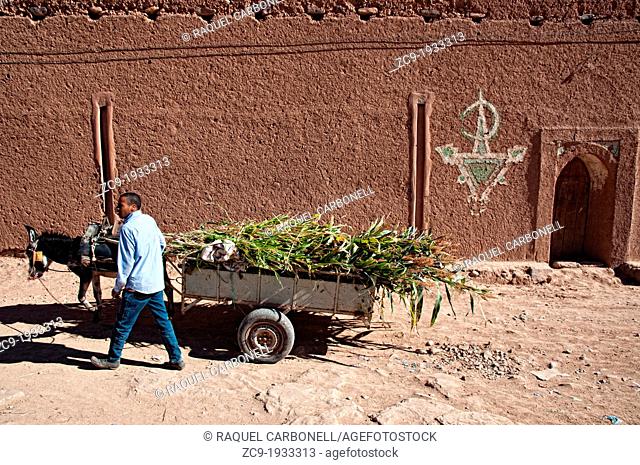 Man and donkey pulling a cart in a Kasbah, Zagora, Draa Valley, Morocco