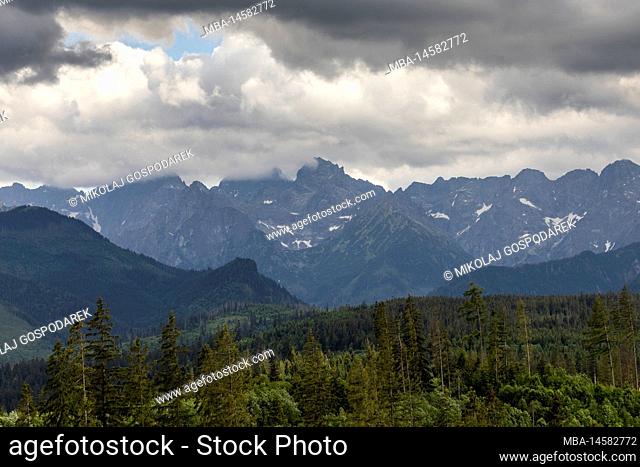 Europe, Poland, Lesser Poland, Tatra Mountains, Podhale, view from Glodowka