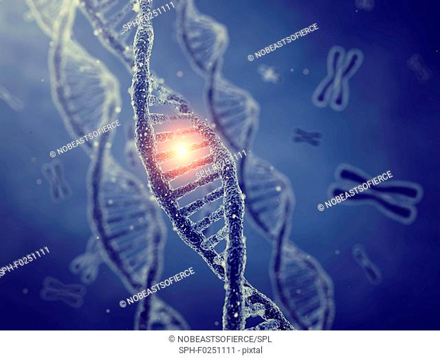 Genetic mutation, conceptual illustration