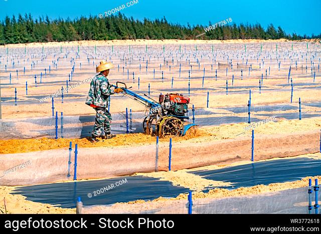 The view of watermelon plantation inside the desert