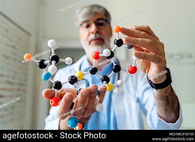 Mature scientist holding helix model in laboratory