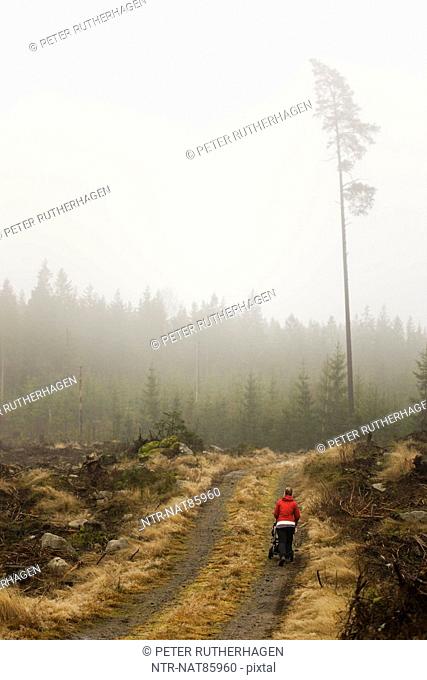 Scandinavian Peninsula, Sweden, SkÃ¥ne, SmÃ¥land, Woman walking on dirt track