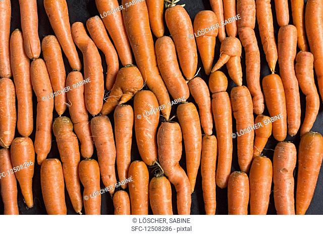 Carrots on a black surface