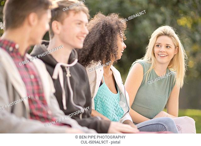 Four young adult friends talking in park