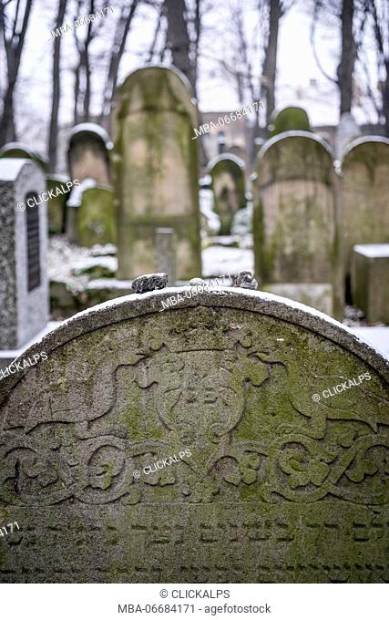 Krakow, Poland, North East Europe. Tombstones detail in new Jewish cemetery