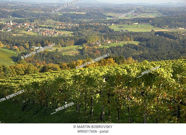 landscape of Schilcher Weinstrae
