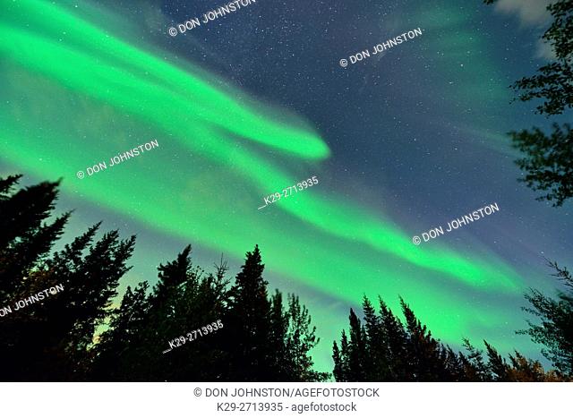 Aurora borealis (Northern Lights) over Great Slave Lake , Hay River, Northwest Territories, Canada