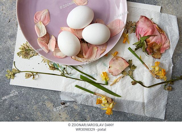 White eggs with dried flowers